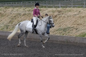 ISIS Dressage Challenge 2008